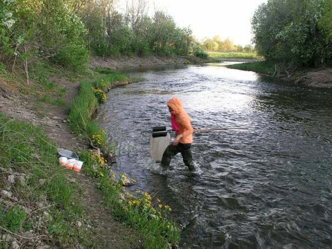 Maakond: Läänemaa Veekogu nimi: Vigala jõgi Pildistamise aeg: 16. mai 2009 Pildistaja: H. Timm Pildistamise koht: Rumba Asimuut: