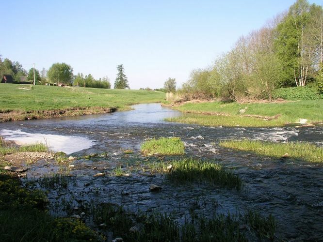 Maakond: Raplamaa Veekogu nimi: Vigala jõgi Pildistamise aeg: 17. mai 2009 Pildistaja: H. Timm Pildistamise koht: Vana-Vigala Asimuut: