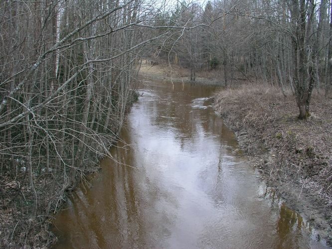 Maakond: Läänemaa Veekogu nimi: Vihterpalu jõgi Pildistamise aeg: 19. aprill 2006 Pildistaja: H. Timm Pildistamise koht: Inka Asimuut: