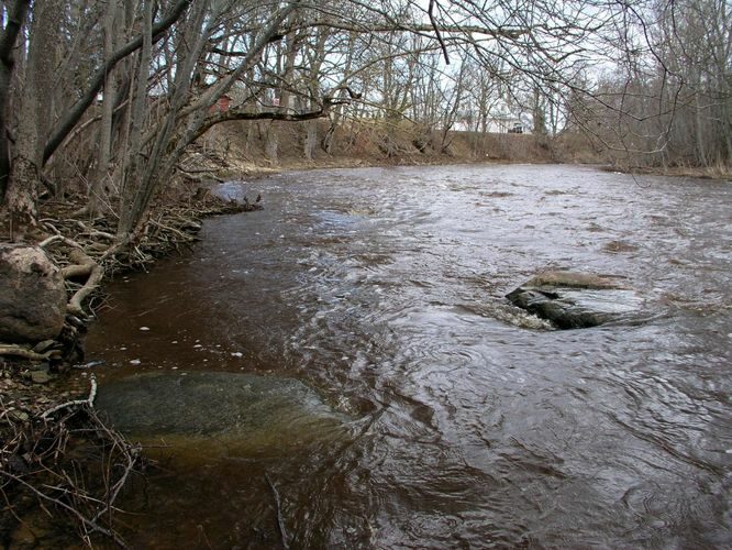 Maakond: Läänemaa Veekogu nimi: Vihterpalu jõgi Pildistamise aeg: 19. aprill 2006 Pildistaja: H. Timm Pildistamise koht: Vihterpalu Asimuut: