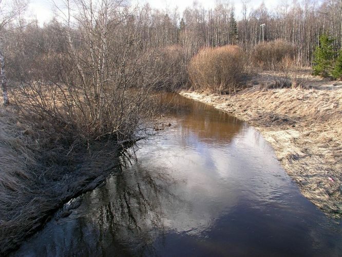 Maakond: Läänemaa Veekogu nimi: Vihterpalu jõgi Pildistamise aeg: 19. aprill 2006 Pildistaja: H. Timm Pildistamise koht: Kuijõe-Haapsalu tee Asimuut: