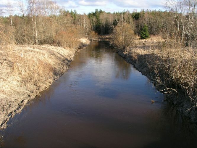 Maakond: Läänemaa Veekogu nimi: Vihterpalu jõgi Pildistamise aeg: 19. aprill 2006 Pildistaja: H. Timm Pildistamise koht: Kuijõe-Haapsalu tee Asimuut: