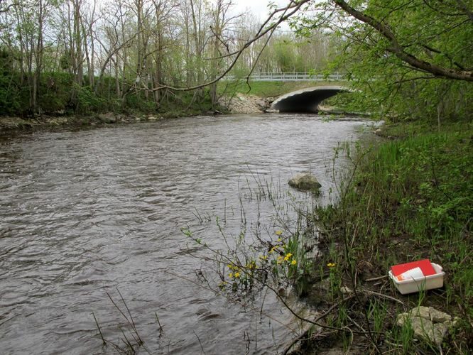 Maakond: Läänemaa Veekogu nimi: Vihterpalu jõgi Pildistamise aeg: 16. mai 2012 Pildistaja: H. Timm Pildistamise koht: Vihterpalu Asimuut: