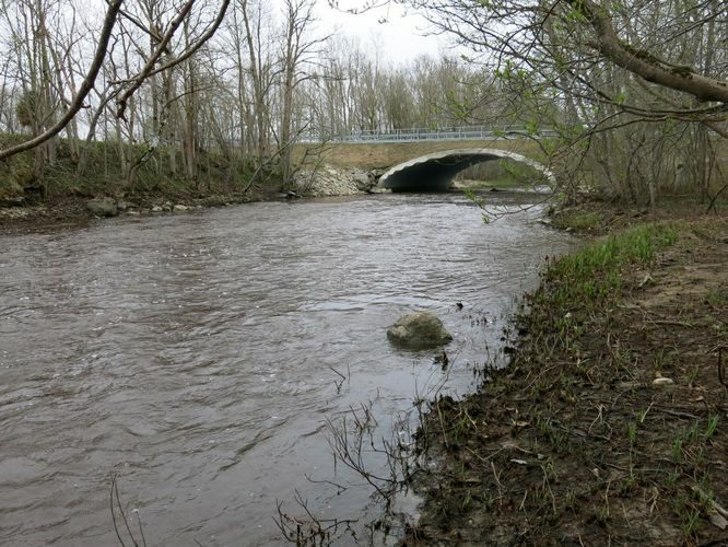 Maakond: Läänemaa Veekogu nimi: Vihterpalu jõgi Pildistamise aeg: 10. mai 2013 Pildistaja: H. Timm Pildistamise koht: Vihterpalu Asimuut: