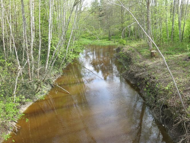 Maakond: Läänemaa Veekogu nimi: Vihterpalu jõgi Pildistamise aeg: 14. mai 2014 Pildistaja: H. Timm Pildistamise koht: Inka Asimuut: