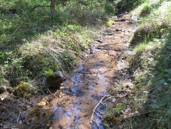 Maakond: Saaremaa Veekogu nimi: Viidumäe allikas Pildistamise aeg: 22. mai 2014 Pildistaja: H. Timm Pildistamise koht: teadmata Asimuut: