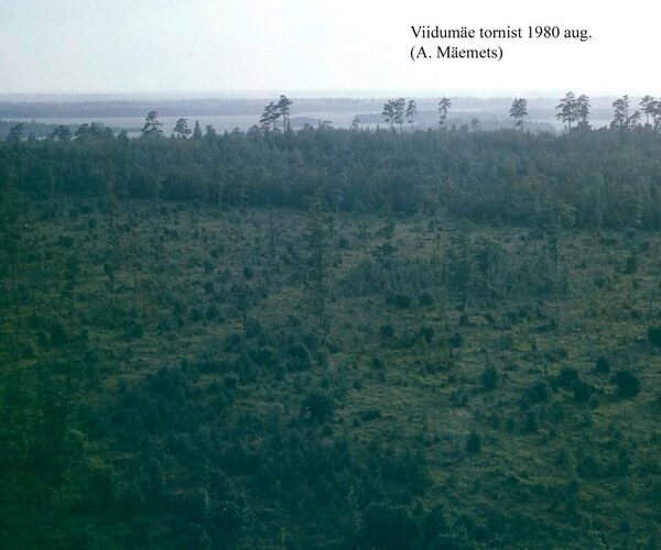 Maakond: Saaremaa Veekogu nimi: Viidumägi Pildistamise aeg: august 1980 Pildistaja: A. Mäemets Pildistamise koht: tornist Asimuut: