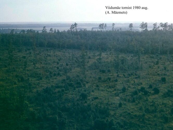 Maakond: Saaremaa Veekogu nimi: Viidumägi Pildistamise aeg: august 1980 Pildistaja: A. Mäemets Pildistamise koht: tornist Asimuut: