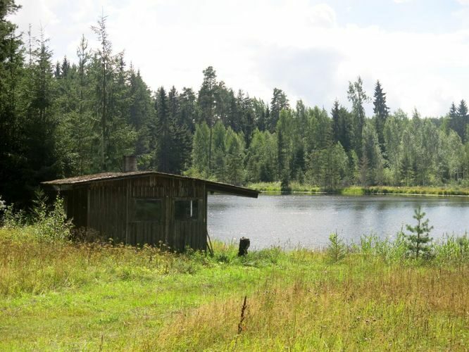 Maakond: Põlvamaa Veekogu nimi: Viinakua järv Pildistamise aeg: 1. august 2013 Pildistaja: H. Timm Pildistamise koht: teadmata Asimuut: