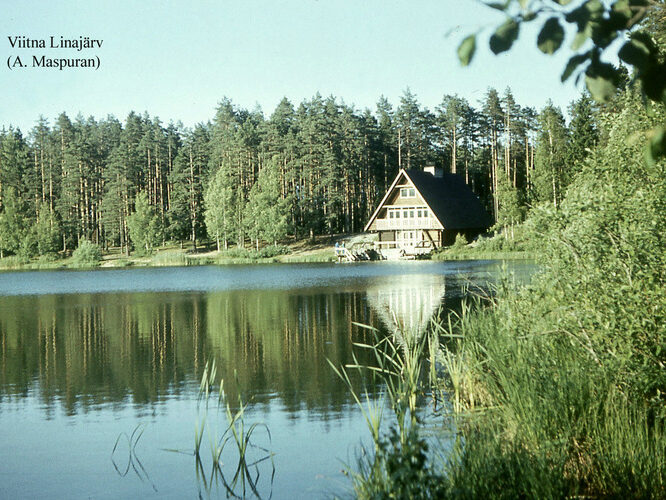 Maakond: Lääne-Virumaa Veekogu nimi: Viitna Linajärv Pildistamise aeg: teadmata Pildistaja: A. Maspuran Pildistamise koht: SW kaldalt Asimuut: NE