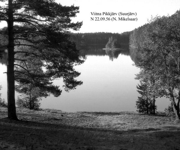 Maakond: Lääne-Virumaa Veekogu nimi: Viitna Pikkjärv Pildistamise aeg: 22. september 1956 Pildistaja: N. Mikelsaar Pildistamise koht: N kaldalt Asimuut: