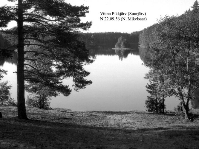 Maakond: Lääne-Virumaa Veekogu nimi: Viitna Pikkjärv Pildistamise aeg: 22. september 1956 Pildistaja: N. Mikelsaar Pildistamise koht: N kaldalt Asimuut: