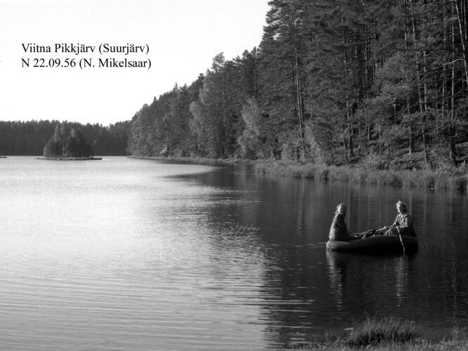 Maakond: Lääne-Virumaa Veekogu nimi: Viitna Pikkjärv Pildistamise aeg: 22. september 1956 Pildistaja: N. Mikelsaar Pildistamise koht: N kaldalt Asimuut: SSW