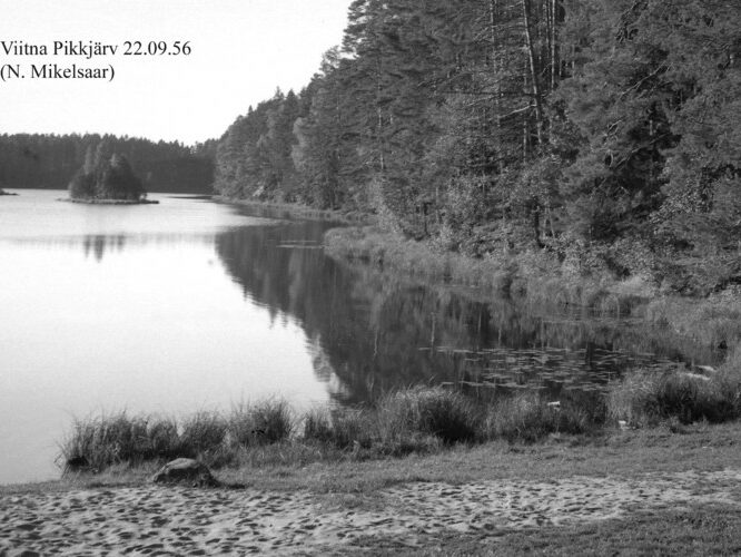 Maakond: Lääne-Virumaa Veekogu nimi: Viitna Pikkjärv Pildistamise aeg: 22. september 1956 Pildistaja: N. Mikelsaar Pildistamise koht: N kaldalt Asimuut: S