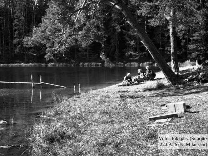 Maakond: Lääne-Virumaa Veekogu nimi: Viitna Pikkjärv Pildistamise aeg: 22. september 1956 Pildistaja: N. Mikelsaar Pildistamise koht: N kaldalt Asimuut: W