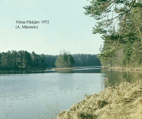 Maakond: Lääne-Virumaa Veekogu nimi: Viitna Pikkjärv Pildistamise aeg: 1972 Pildistaja: A. Mäemets Pildistamise koht: N kaldalt Asimuut: SSE