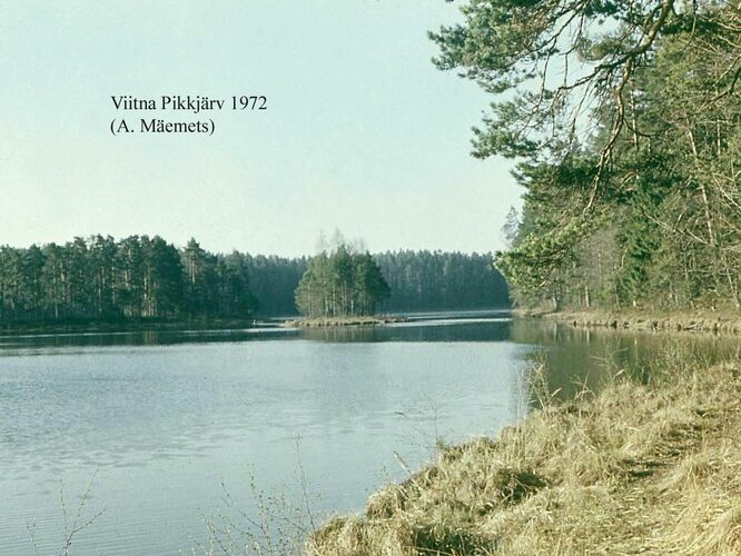 Maakond: Lääne-Virumaa Veekogu nimi: Viitna Pikkjärv Pildistamise aeg: 1972 Pildistaja: A. Mäemets Pildistamise koht: N kaldalt Asimuut: SSE