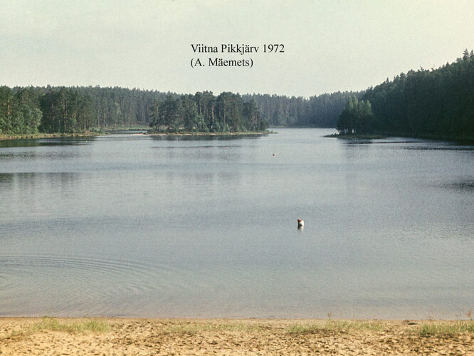 Maakond: Lääne-Virumaa Veekogu nimi: Viitna Pikkjärv Pildistamise aeg: 1972 Pildistaja: A. Mäemets Pildistamise koht: N kaldalt Asimuut: S