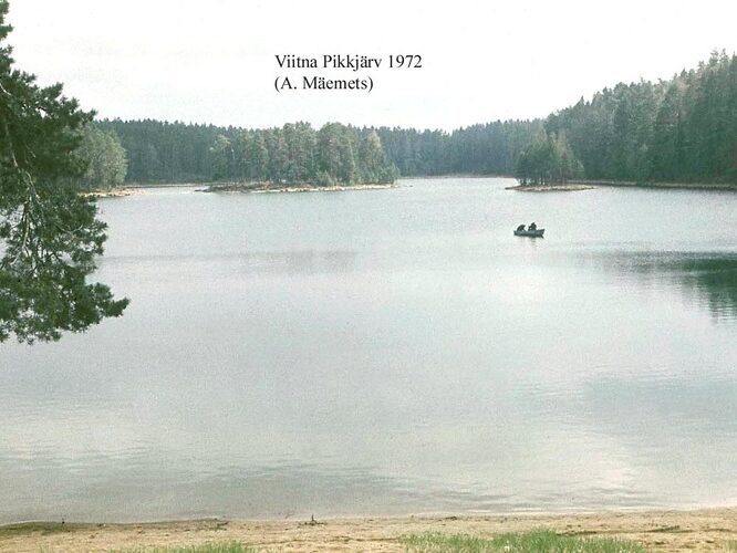 Maakond: Lääne-Virumaa Veekogu nimi: Viitna Pikkjärv Pildistamise aeg: 1972 Pildistaja: A. Mäemets Pildistamise koht: N kaldalt Asimuut: S