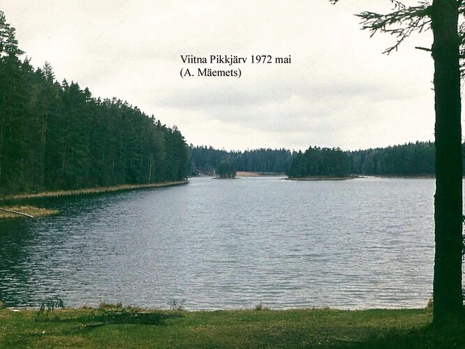 Maakond: Lääne-Virumaa Veekogu nimi: Viitna Pikkjärv Pildistamise aeg: mai 1972 Pildistaja: A. Mäemets Pildistamise koht: N kaldalt Asimuut: S