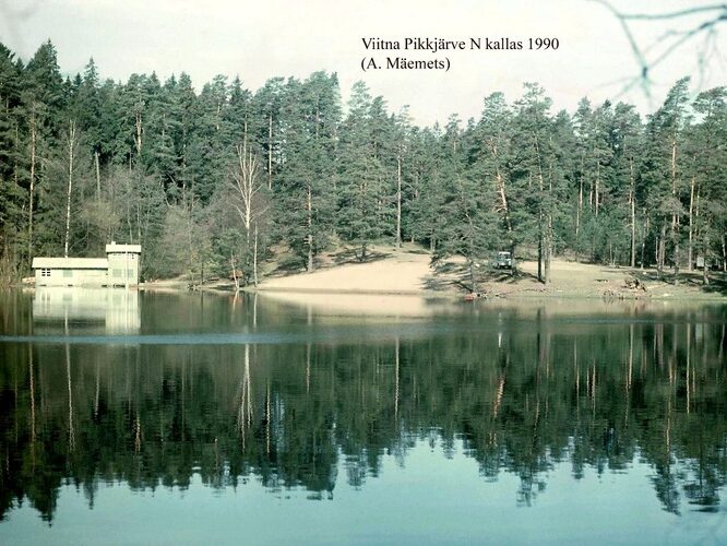 Maakond: Lääne-Virumaa Veekogu nimi: Viitna Pikkjärv Pildistamise aeg: 1990 Pildistaja: A. Mäemets Pildistamise koht: NE kaldalt Asimuut: NW