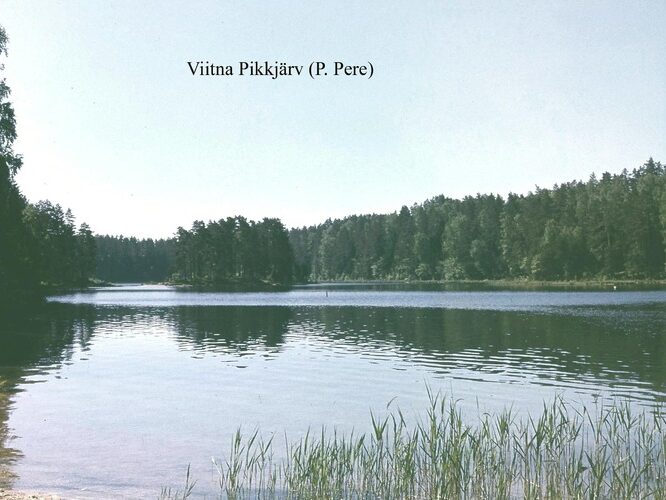 Maakond: Lääne-Virumaa Veekogu nimi: Viitna Pikkjärv Pildistamise aeg: teadmata Pildistaja: P. Pere Pildistamise koht: N kaldalt Asimuut: SSW