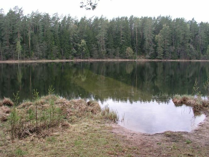 Maakond: Lääne-Virumaa Veekogu nimi: Viitna Pikkjärv Pildistamise aeg: 19. mai 2003 Pildistaja: H. Timm Pildistamise koht: teadmata Asimuut: