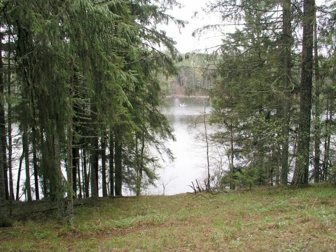 Maakond: Lääne-Virumaa Veekogu nimi: Viitna Pikkjärv Pildistamise aeg: 19. mai 2003 Pildistaja: H. Timm Pildistamise koht: teadmata Asimuut: