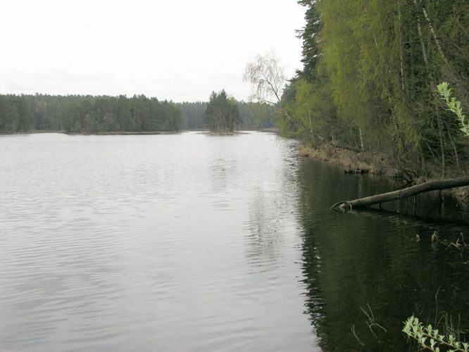 Maakond: Lääne-Virumaa Veekogu nimi: Viitna Pikkjärv Pildistamise aeg: 19. mai 2003 Pildistaja: H. Timm Pildistamise koht: teadmata Asimuut: