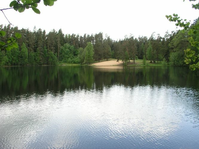 Maakond: Lääne-Virumaa Veekogu nimi: Viitna Pikkjärv Pildistamise aeg: 30. mai 2005 Pildistaja: H. Timm Pildistamise koht: teadmata Asimuut: