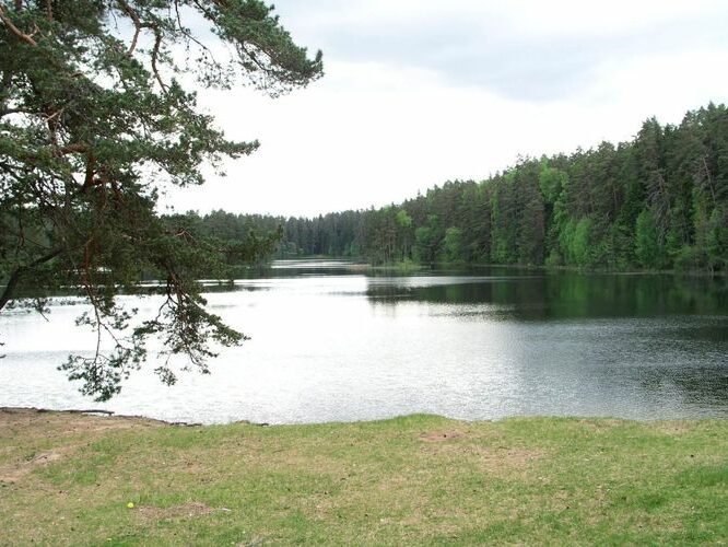 Maakond: Lääne-Virumaa Veekogu nimi: Viitna Pikkjärv Pildistamise aeg: 30. mai 2005 Pildistaja: H. Timm Pildistamise koht: teadmata Asimuut: