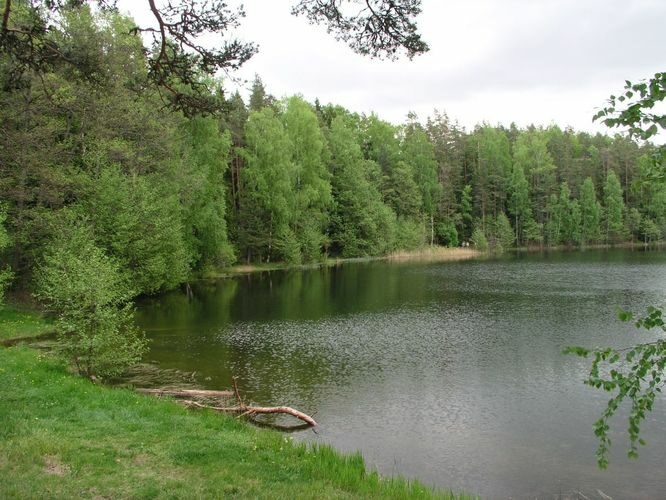 Maakond: Lääne-Virumaa Veekogu nimi: Viitna Pikkjärv Pildistamise aeg: 30. mai 2005 Pildistaja: H. Timm Pildistamise koht: teadmata Asimuut: