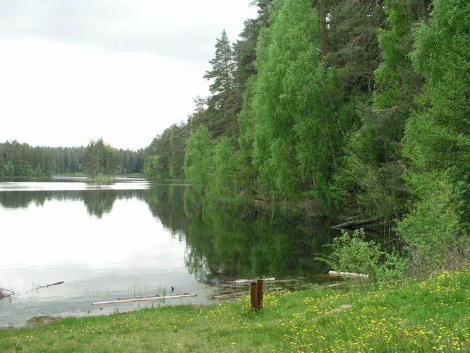 Maakond: Lääne-Virumaa Veekogu nimi: Viitna Pikkjärv Pildistamise aeg: 30. mai 2005 Pildistaja: H. Timm Pildistamise koht: teadmata Asimuut: