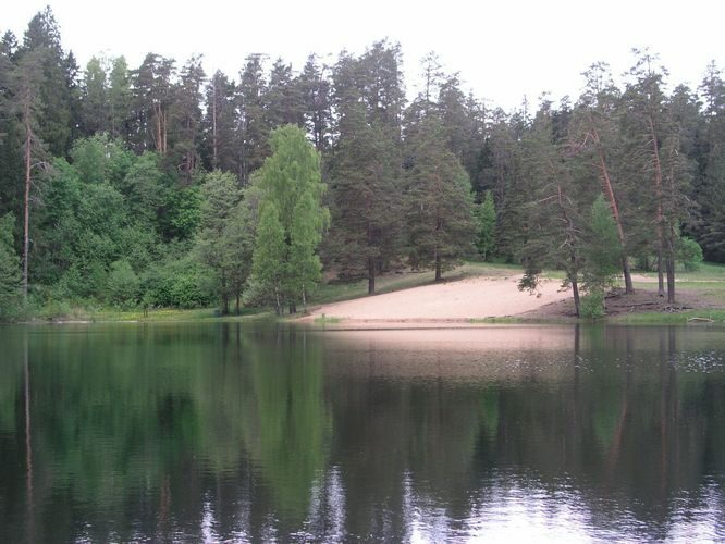 Maakond: Lääne-Virumaa Veekogu nimi: Viitna Pikkjärv Pildistamise aeg: 30. mai 2005 Pildistaja: H. Timm Pildistamise koht: teadmata Asimuut: