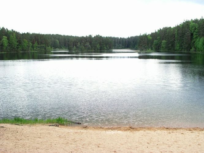 Maakond: Lääne-Virumaa Veekogu nimi: Viitna Pikkjärv Pildistamise aeg: 30. mai 2005 Pildistaja: H. Timm Pildistamise koht: teadmata Asimuut: