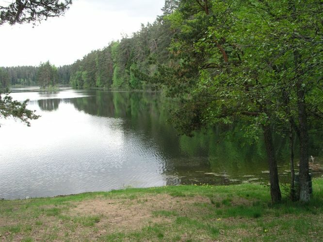 Maakond: Lääne-Virumaa Veekogu nimi: Viitna Pikkjärv Pildistamise aeg: 30. mai 2005 Pildistaja: H. Timm Pildistamise koht: teadmata Asimuut: