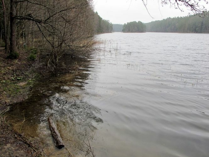 Maakond: Lääne-Virumaa Veekogu nimi: Viitna Pikkjärv Pildistamise aeg: 1. mai 2010 Pildistaja: H. Timm Pildistamise koht: teadmata Asimuut: