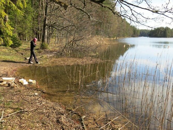 Maakond: Lääne-Virumaa Veekogu nimi: Viitna Pikkjärv Pildistamise aeg: 26. aprill 2014 Pildistaja: H. Timm Pildistamise koht: teadmata Asimuut: