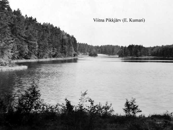 Maakond: Lääne-Virumaa Veekogu nimi: Viitna Pikkjärv Pildistamise aeg: teadmata Pildistaja: E. Kumari (Eesti Looduse arhiiv) Pildistamise koht: S kaldalt Asimuut: N