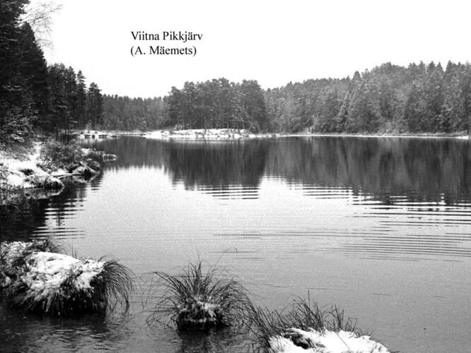 Maakond: Lääne-Virumaa Veekogu nimi: Viitna Pikkjärv Pildistamise aeg: teadmata Pildistaja: A. Mäemets Pildistamise koht: N kaldalt Asimuut: SSW