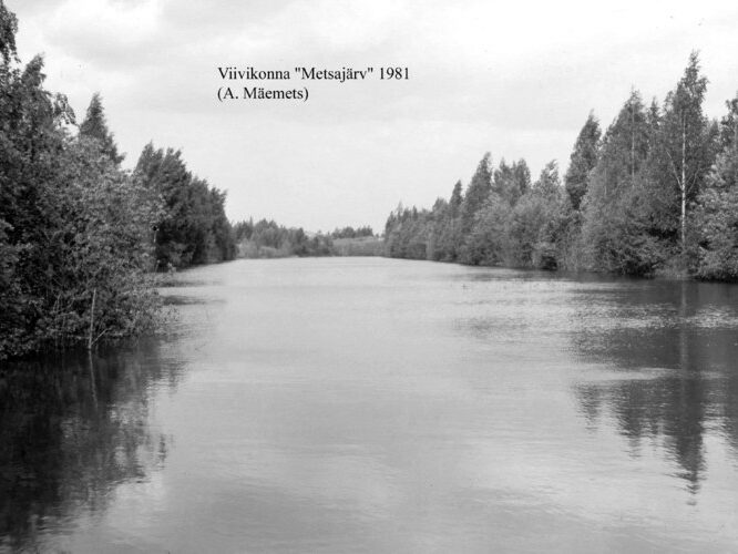 Maakond: Ida-Virumaa Veekogu nimi: Viivikonna Viltujärv Pildistamise aeg: 1981 Pildistaja: A. Mäemets Pildistamise koht: teadmata Asimuut: