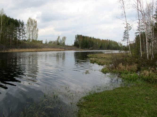 Maakond: Põlvamaa Veekogu nimi: Viroste järv Pildistamise aeg: 5. mai 2012 Pildistaja: H. Timm Pildistamise koht: teadmata Asimuut: