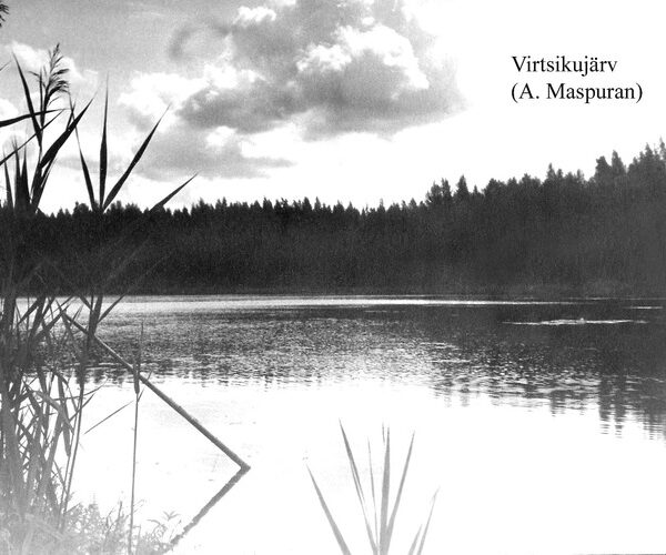 Maakond: Ida-Virumaa Veekogu nimi: Virtsiku järv Pildistamise aeg: teadmata Pildistaja: A. Maspuran Pildistamise koht: teadmata Asimuut: