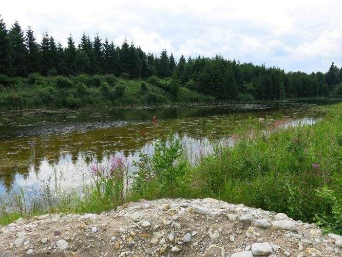 Maakond: Järvamaa Veekogu nimi: Vissuvere karjäär Pildistamise aeg: 6. juuli 2013 Pildistaja: H. Timm Pildistamise koht: teadmata Asimuut: