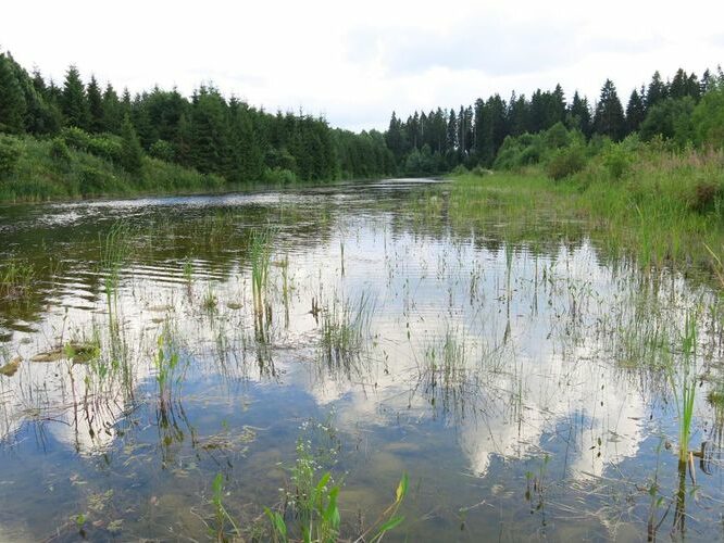 Maakond: Järvamaa Veekogu nimi: Vissuvere karjäär Pildistamise aeg: 6. juuli 2013 Pildistaja: H. Timm Pildistamise koht: teadmata Asimuut: