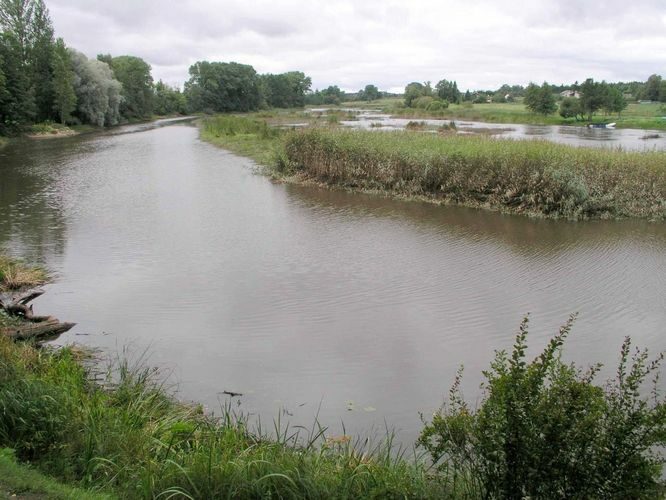 Maakond: Põlvamaa Veekogu nimi: Võhandu jõgi Pildistamise aeg: august 2004 Pildistaja: H. Timm Pildistamise koht: Räpina paisjärv pargis Asimuut: