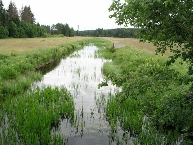 Maakond: Põlvamaa Veekogu nimi: Võhandu jõgi Pildistamise aeg: 28. juuni 2007 Pildistaja: H. Timm Pildistamise koht: Lajavangu Asimuut: