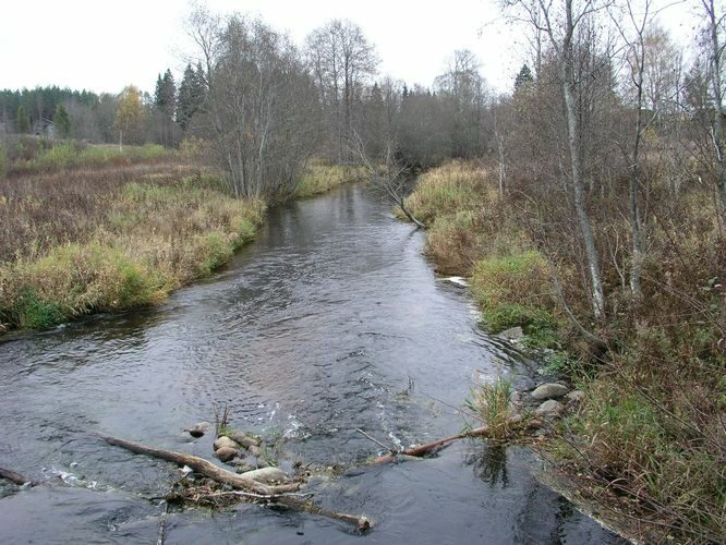 Maakond: Põlvamaa Veekogu nimi: Võhandu jõgi Pildistamise aeg: 24. oktoober 2007 Pildistaja: H. Timm Pildistamise koht: Kärgula Asimuut: