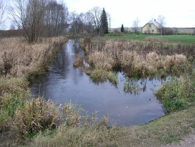 Maakond: Põlvamaa Veekogu nimi: Võhandu jõgi Pildistamise aeg: 1. november 2008 Pildistaja: H. Timm Pildistamise koht: Hoboala Asimuut: