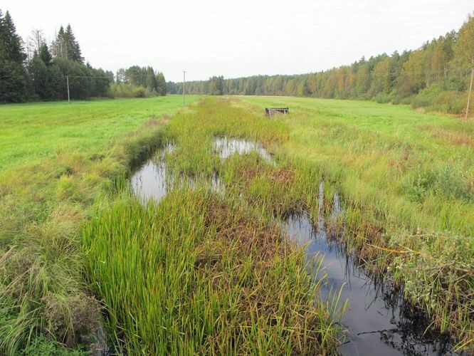 Maakond: Põlvamaa Veekogu nimi: Võhandu jõgi Pildistamise aeg: 13. september 2010 Pildistaja: H. Timm Pildistamise koht: Lajavangu Asimuut: